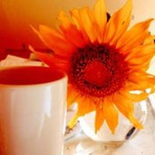 Janice Knights's photo