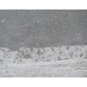 Doris McLeod's photo