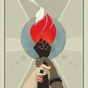 Foto von Roz Birch