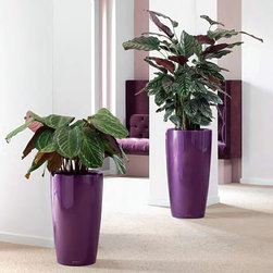 Modern Planter - Products