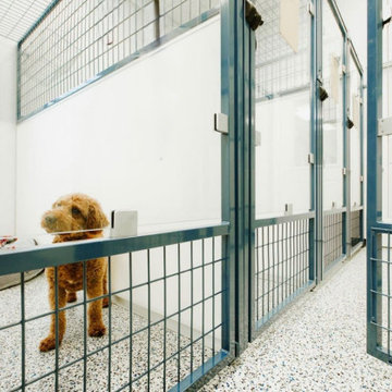 Colorful Kennels and Animal Enclosures