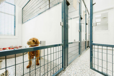 Colorful Kennels and Animal Enclosures