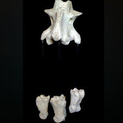 Custom Bone Wind Chimes - Products