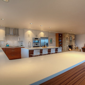 Mid-Century View House