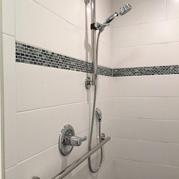 Adjustable Hand Shower and Grab Bar