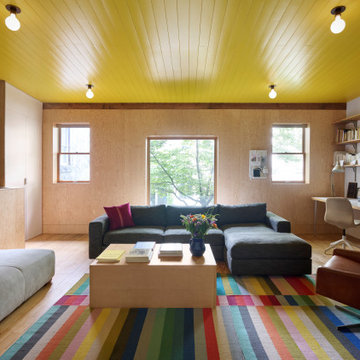 Cobble Hill Secret House