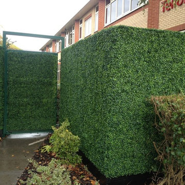 Ranka Lasting Greenery