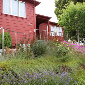San Francisco Mid Century Revival