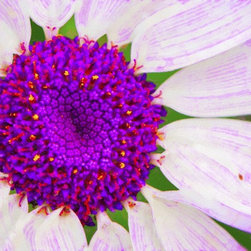 Fine Art Photography - Digital paintings - Products