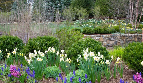 April: Vad du kan göra i trädgården denna månad