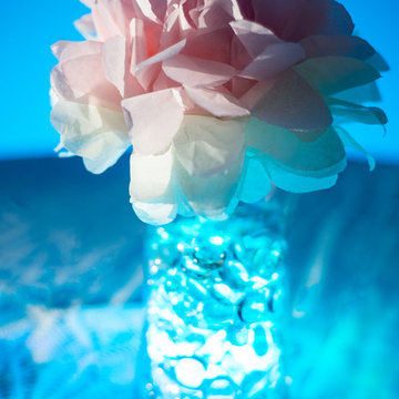 LED Decorative Lighting Display