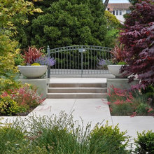 front yard