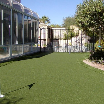 Backyard Putting Greens