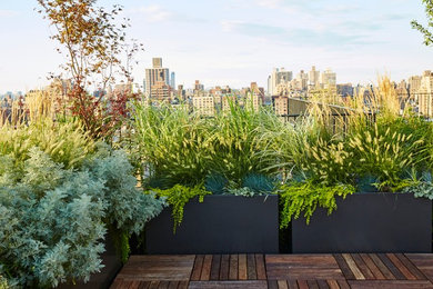 Planterworx - UWS Roof Terrace : BUDS