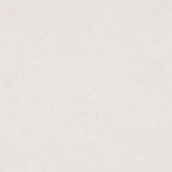 Organic WhiteCaesarstone Quartz Countertop - Kitchen Countertops