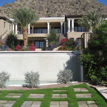 Garden - Parking strip
