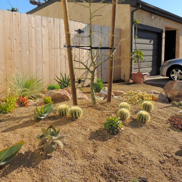 Xeriscape and flagstone