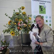 Sue Hann's photo