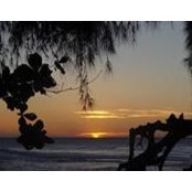 Nancy Pullman's photo