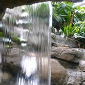 Patricia Mendonca's photo