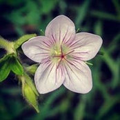 Carmen Athens's photo