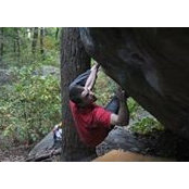 Vincent Fortin's photo