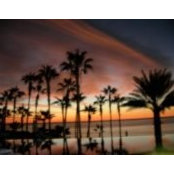 Elizabeth Conley's photo