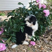Kathy Wilson Balzer's photo