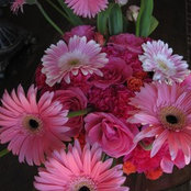 Kelly Horne's photo