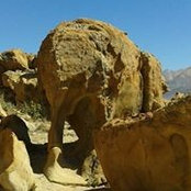 Jan Visagie's photo