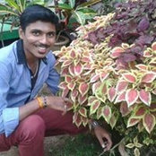 Ashwin Gowdas billede