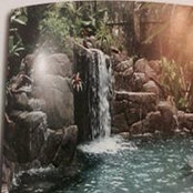 Mostafa Aqua's photo