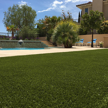 Picturesque Las Vegas Backyard