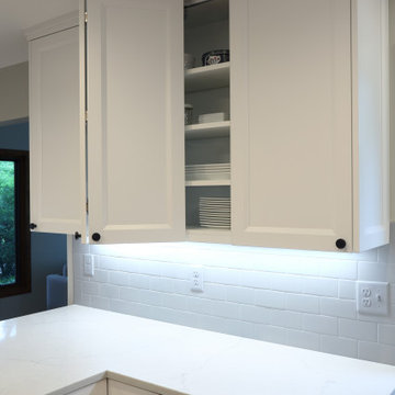 Double-hinged door