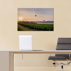 Home Office Art - Morning Vines, Hunter Valley NSW Art on Glass 1200x800mm - Fine Art Prints
