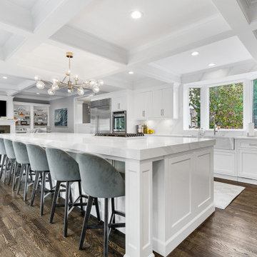 Kitchen. Interior Remodel in Lake Forest