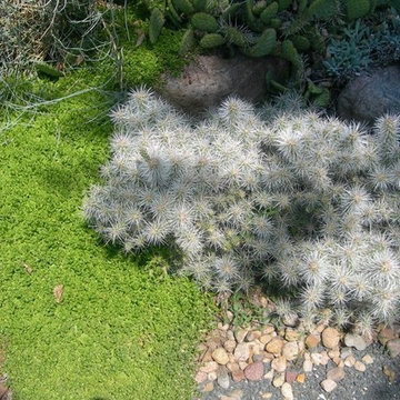 Exceptional Landscapes
