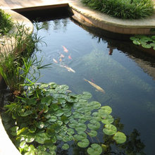 pond