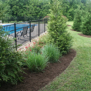 Steiner Pool