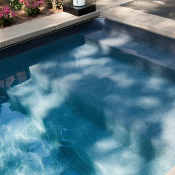 Modern Oasis - The Prowzey's Rectangular Inground