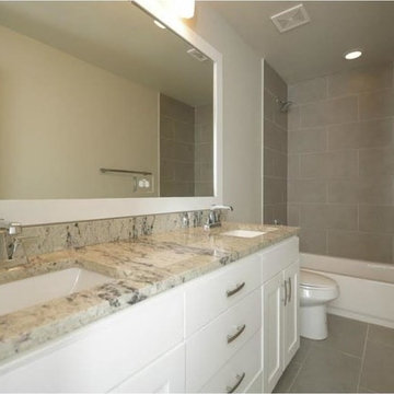 Transitional Gut Renovation and Addition