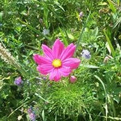 Foto von Martina Ocker