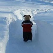 Thomas Babiec's photo