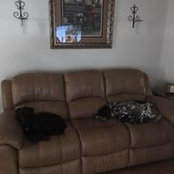 Tim Cunningham's photo