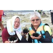 Foto von Dennis Shaw