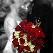 Julia Fuller's photo
