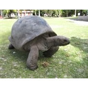 Dror Davidi's photo