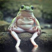 Marylisa Rinke's photo