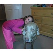 Debra Schein's photo