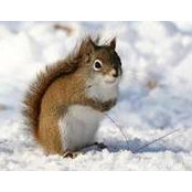 Pam Coan's photo
